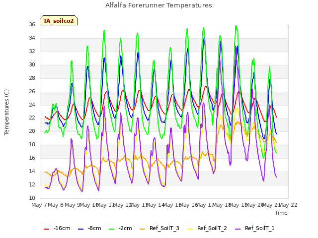 plot of Alfalfa Forerunner Temperatures