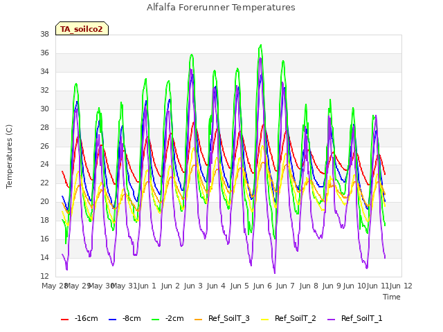 plot of Alfalfa Forerunner Temperatures