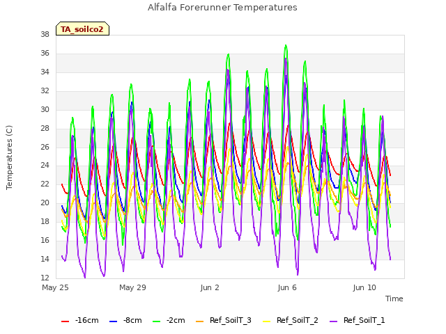 Explore the graph:Alfalfa Forerunner Temperatures in a new window