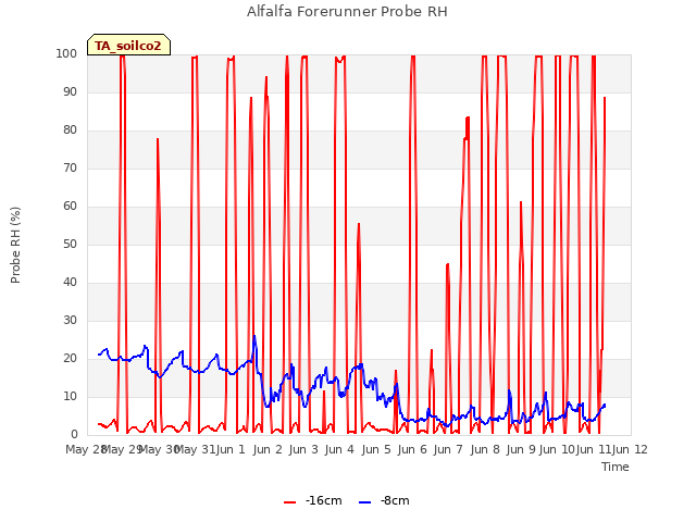 plot of Alfalfa Forerunner Probe RH