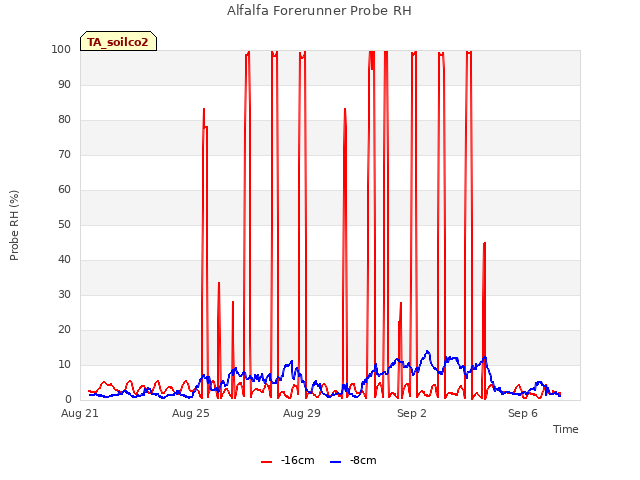 Explore the graph:Alfalfa Forerunner Probe RH in a new window