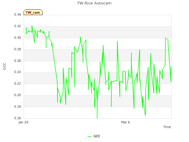 Explore the graph:TW Rice Autocam in a new window