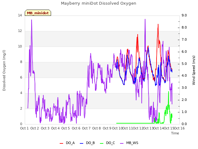 plot of Mayberry miniDot Dissolved Oxygen