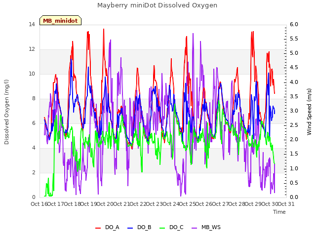 plot of Mayberry miniDot Dissolved Oxygen