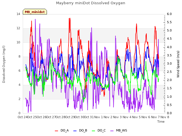 plot of Mayberry miniDot Dissolved Oxygen