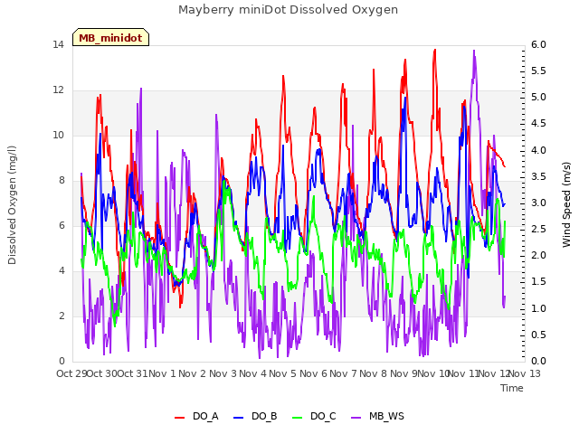 plot of Mayberry miniDot Dissolved Oxygen