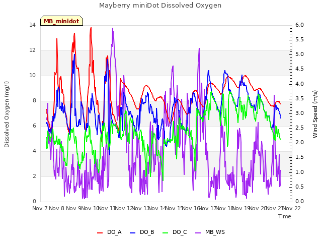 plot of Mayberry miniDot Dissolved Oxygen