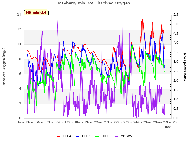 plot of Mayberry miniDot Dissolved Oxygen