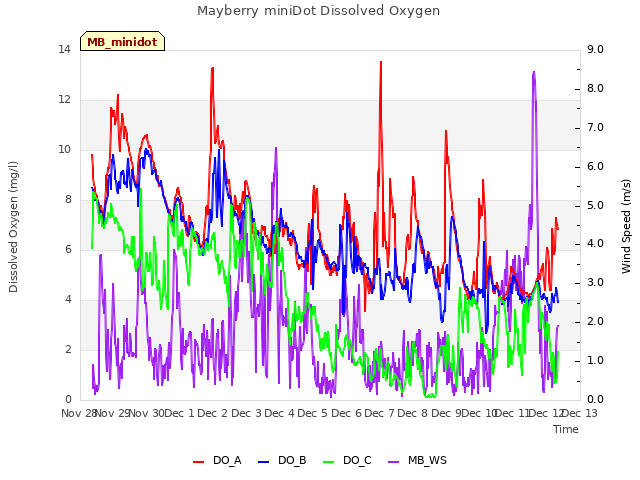 plot of Mayberry miniDot Dissolved Oxygen