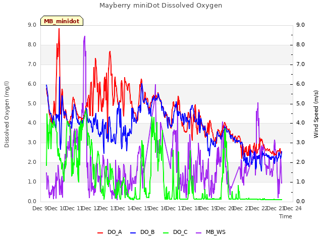 plot of Mayberry miniDot Dissolved Oxygen