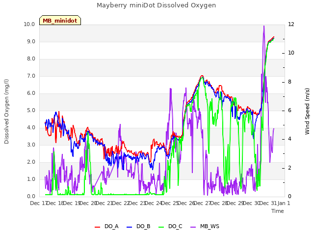 plot of Mayberry miniDot Dissolved Oxygen