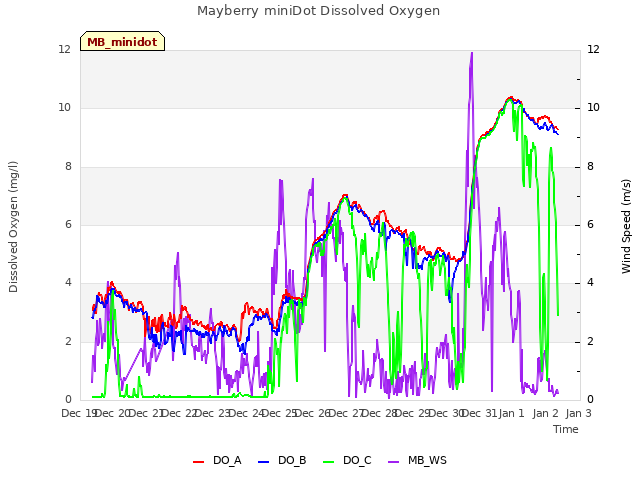 plot of Mayberry miniDot Dissolved Oxygen