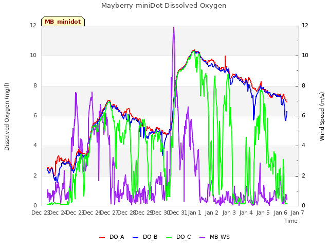 plot of Mayberry miniDot Dissolved Oxygen