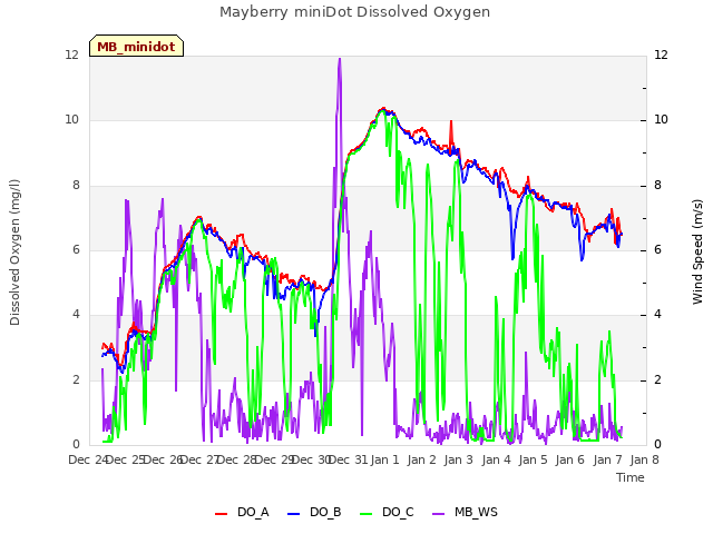 plot of Mayberry miniDot Dissolved Oxygen