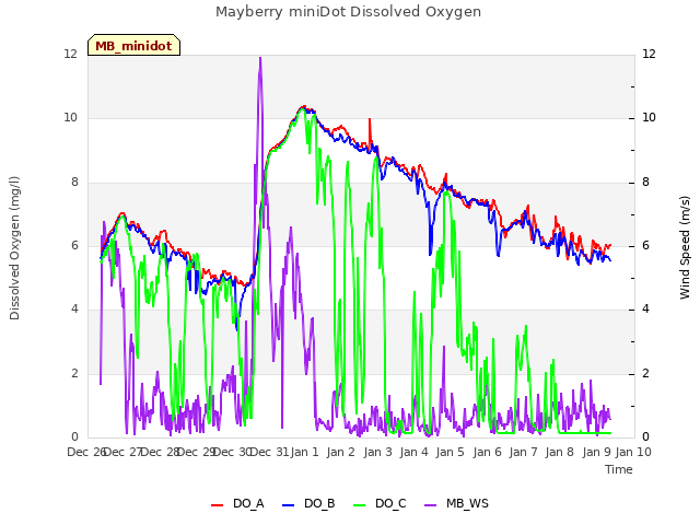 plot of Mayberry miniDot Dissolved Oxygen