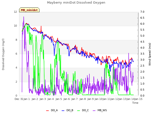 plot of Mayberry miniDot Dissolved Oxygen