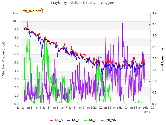 plot of Mayberry miniDot Dissolved Oxygen