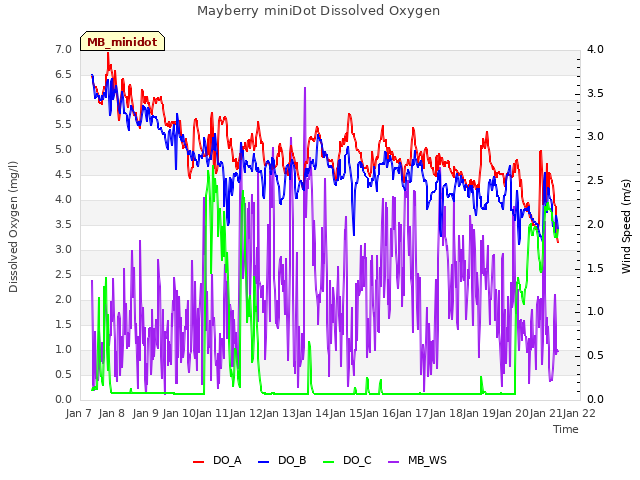 plot of Mayberry miniDot Dissolved Oxygen