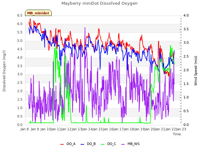 plot of Mayberry miniDot Dissolved Oxygen