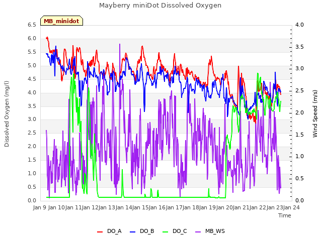 plot of Mayberry miniDot Dissolved Oxygen