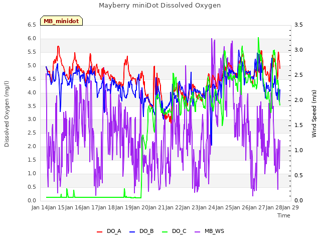 plot of Mayberry miniDot Dissolved Oxygen