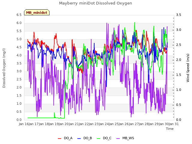 plot of Mayberry miniDot Dissolved Oxygen