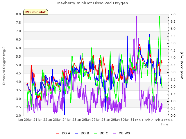 plot of Mayberry miniDot Dissolved Oxygen