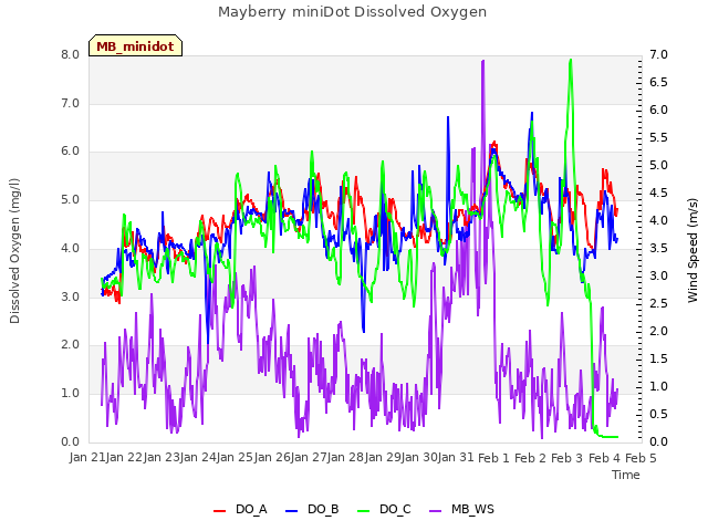 plot of Mayberry miniDot Dissolved Oxygen