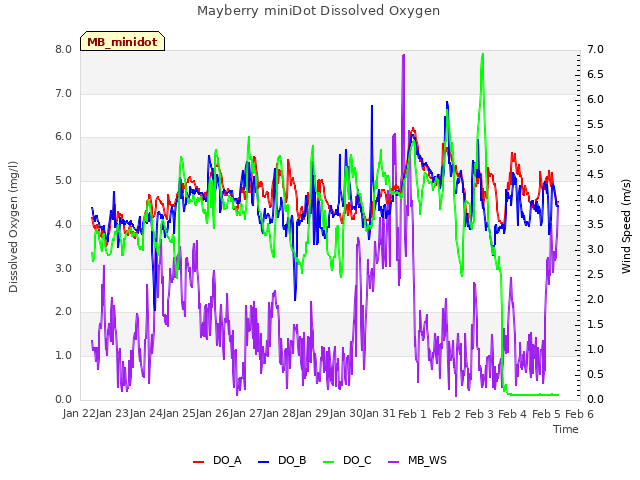 plot of Mayberry miniDot Dissolved Oxygen