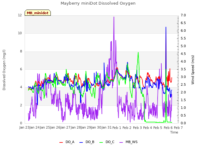 plot of Mayberry miniDot Dissolved Oxygen