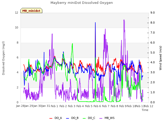 plot of Mayberry miniDot Dissolved Oxygen