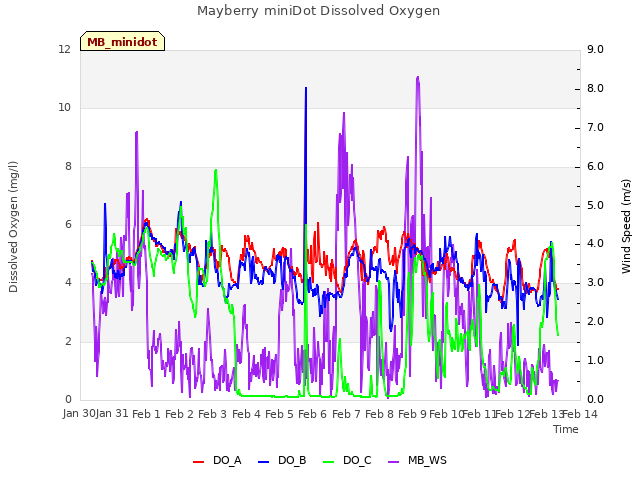 plot of Mayberry miniDot Dissolved Oxygen