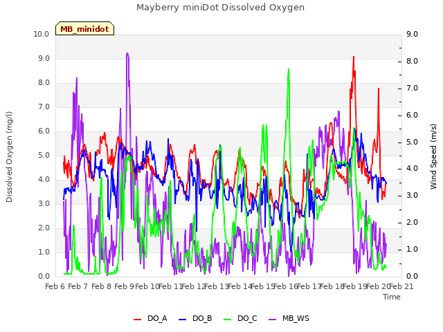 plot of Mayberry miniDot Dissolved Oxygen