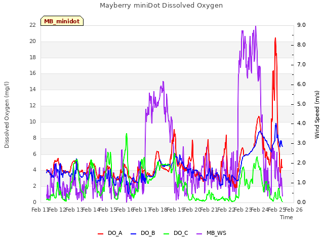 plot of Mayberry miniDot Dissolved Oxygen