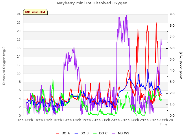 plot of Mayberry miniDot Dissolved Oxygen