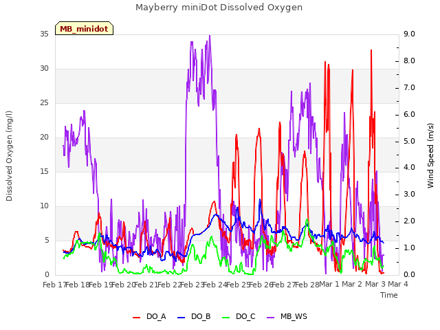 plot of Mayberry miniDot Dissolved Oxygen