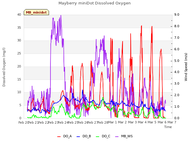 plot of Mayberry miniDot Dissolved Oxygen