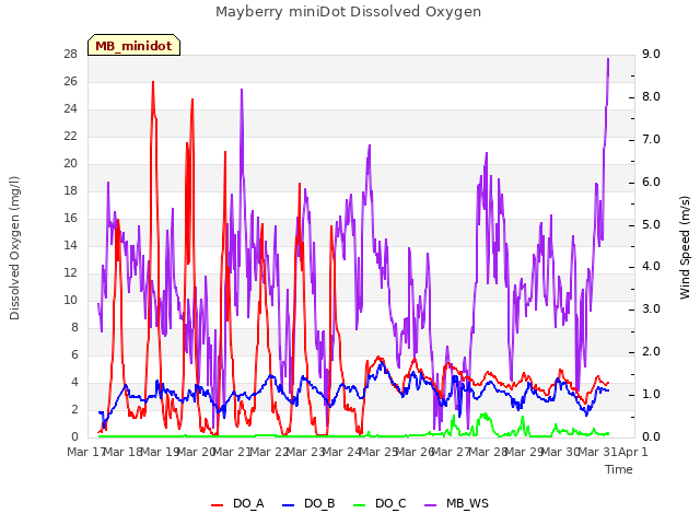 plot of Mayberry miniDot Dissolved Oxygen