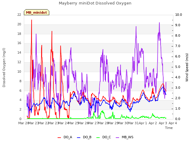 plot of Mayberry miniDot Dissolved Oxygen