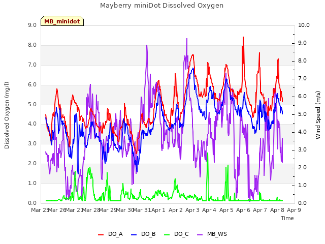 plot of Mayberry miniDot Dissolved Oxygen