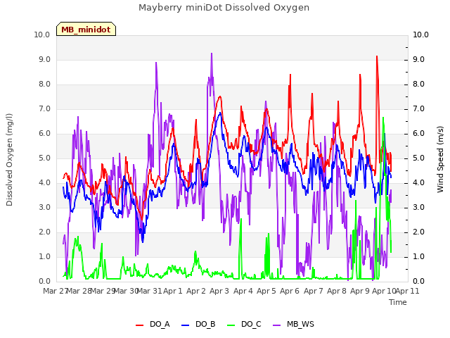 plot of Mayberry miniDot Dissolved Oxygen