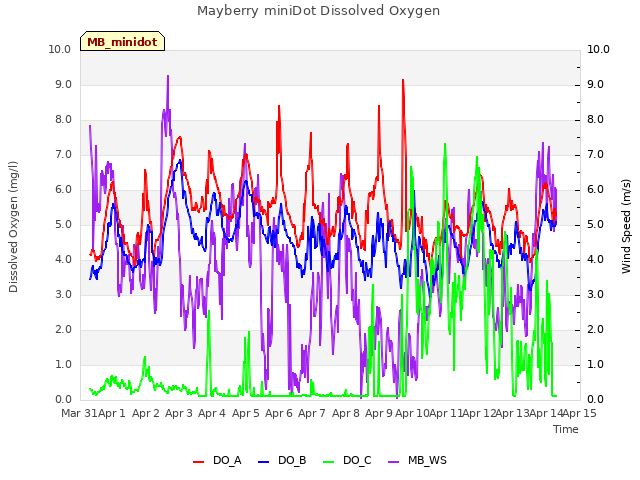 plot of Mayberry miniDot Dissolved Oxygen