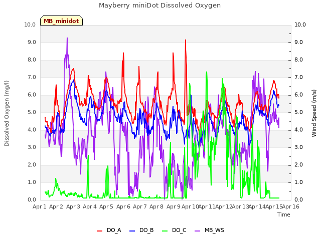 plot of Mayberry miniDot Dissolved Oxygen