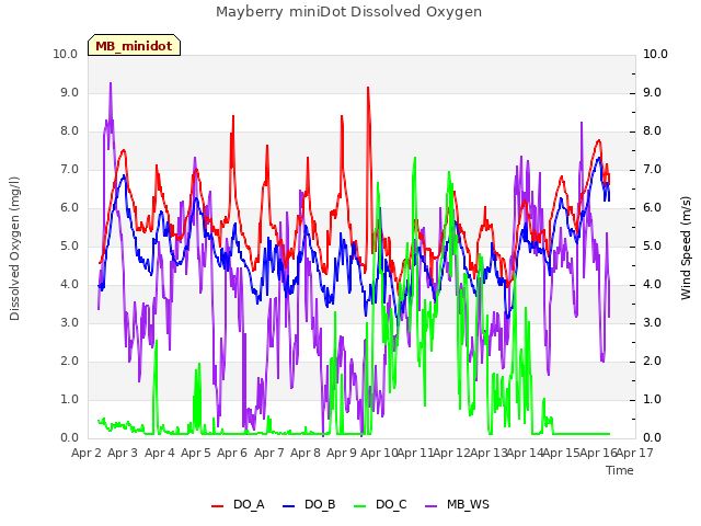 plot of Mayberry miniDot Dissolved Oxygen