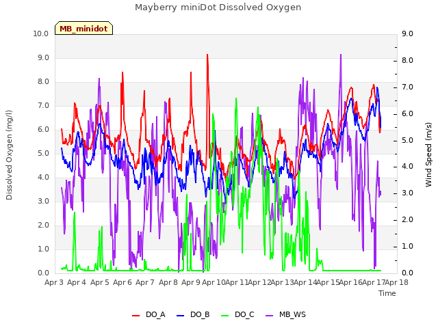 plot of Mayberry miniDot Dissolved Oxygen