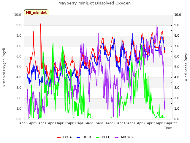 plot of Mayberry miniDot Dissolved Oxygen