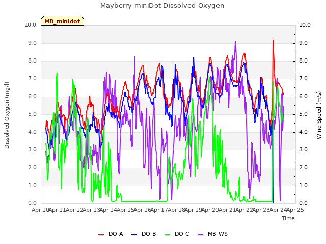 plot of Mayberry miniDot Dissolved Oxygen