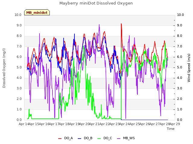 plot of Mayberry miniDot Dissolved Oxygen