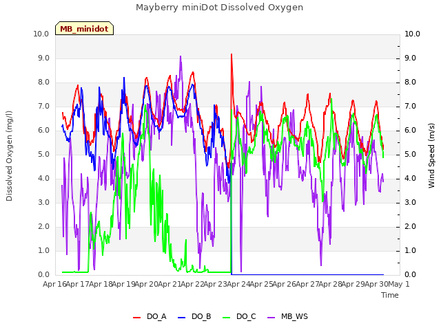 plot of Mayberry miniDot Dissolved Oxygen