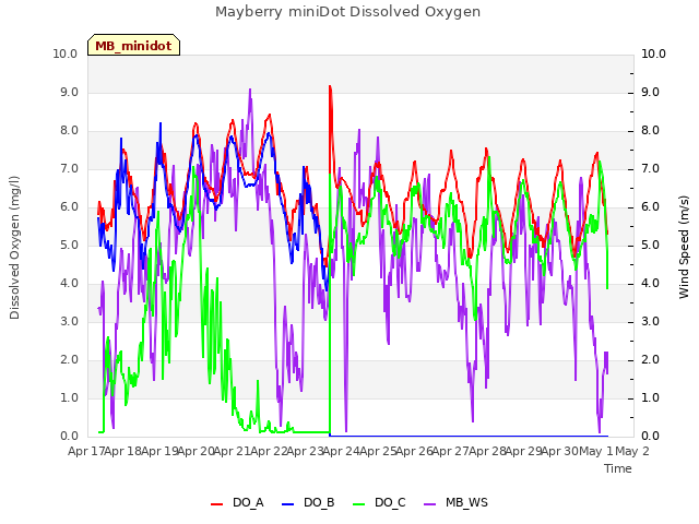 plot of Mayberry miniDot Dissolved Oxygen